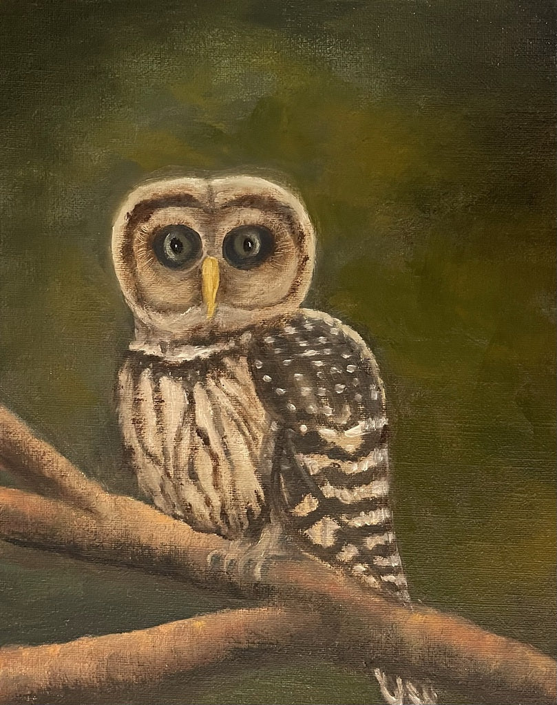 GREETING CARDS BY SHERYL WAUGH - ASSORTMENT