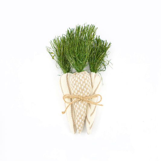 NEUTRAL PATTERNED CARROT BUNDLE