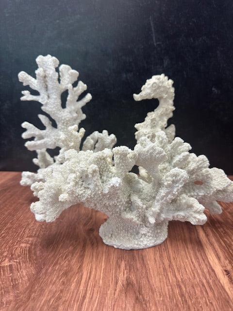 CORAL & SEA HORSE