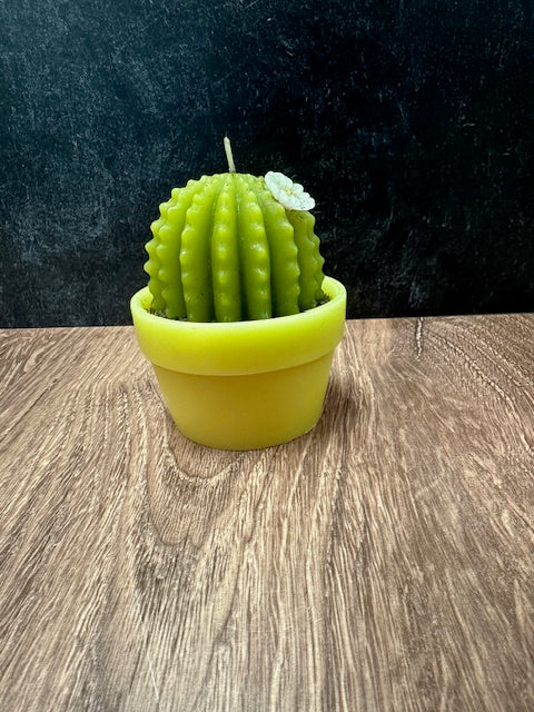 CACTUS CANDLE