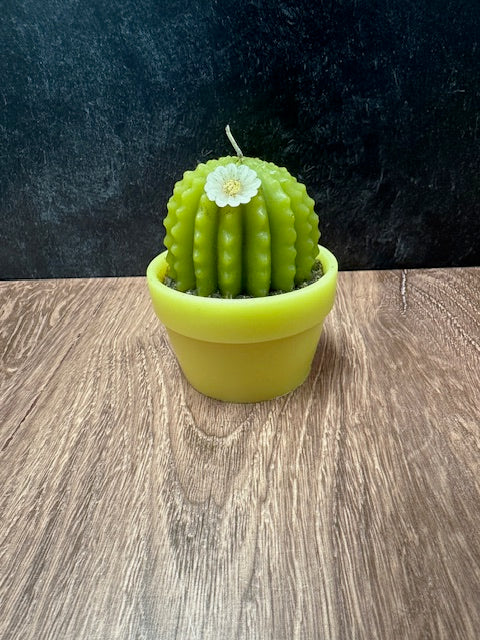 CACTUS CANDLE