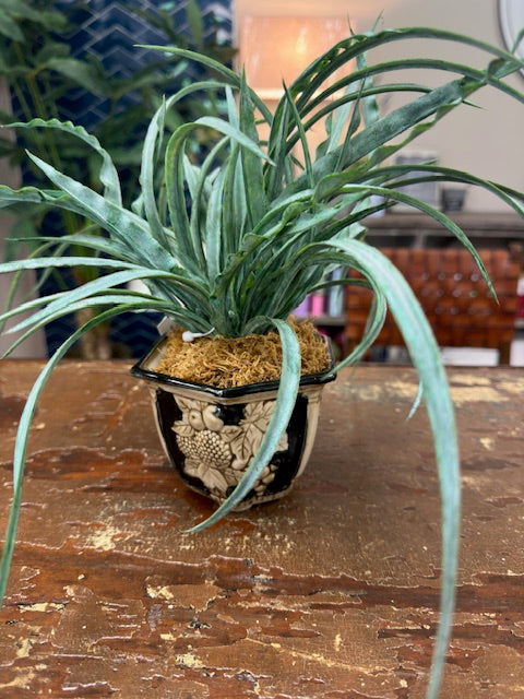 BLACK AND CREAM PLANTER WITH SPIDER PLANT