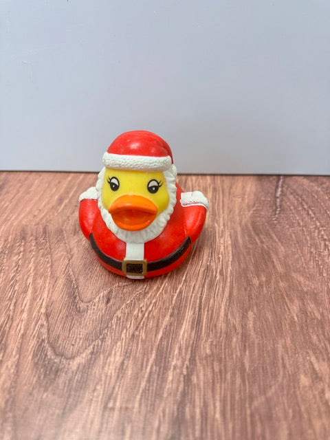 RUBBER DUCKS - ASSORTED