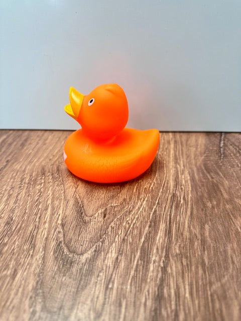 RUBBER DUCKS - ASSORTED