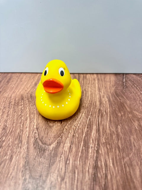 RUBBER DUCKS - ASSORTED