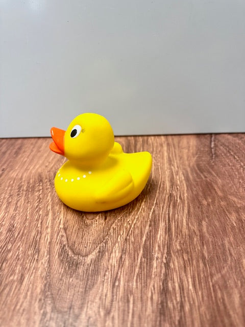 RUBBER DUCKS - ASSORTED