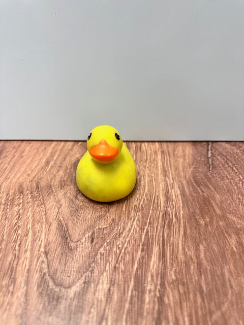 RUBBER DUCKS - ASSORTED