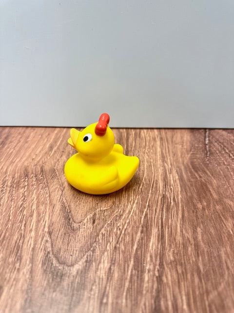 RUBBER DUCKS - ASSORTED