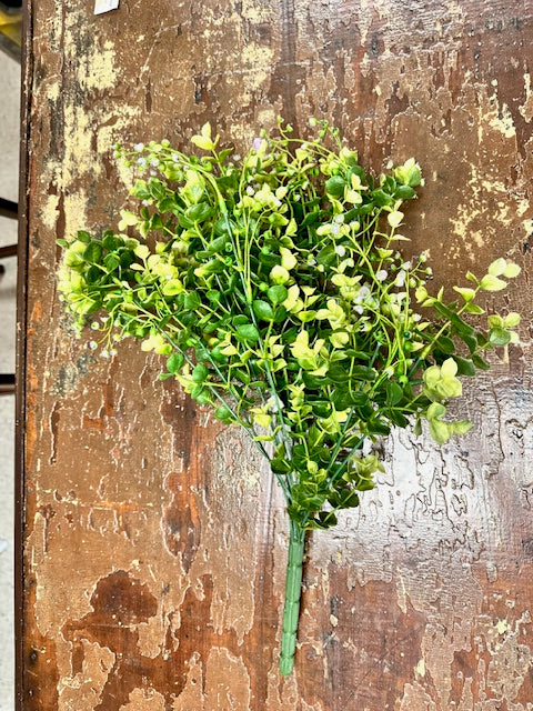 BOXWOOD WITH PURPLE FLORAL BUSH