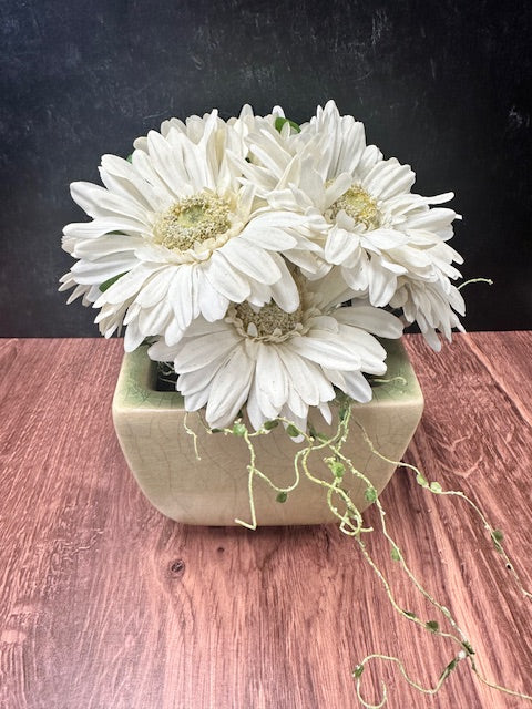 WHITE SUNFLOWER ARRANGEMENT IN CRACKLED GREEN CONTAINER