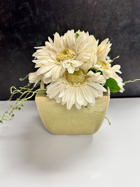 WHITE SUNFLOWER ARRANGEMENT IN GREEN CRACKLED PLANTER