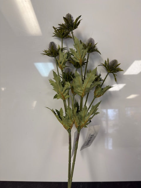 TRANQUIL SEA HOLLY PICK - ASSORTED