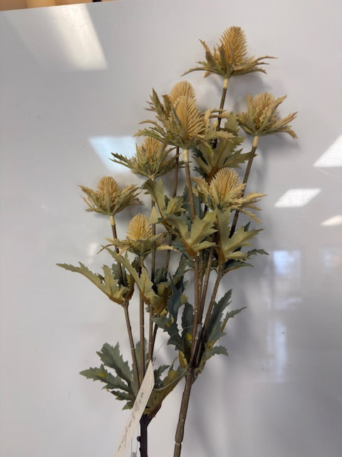 TRANQUIL SEA HOLLY PICK - ASSORTED