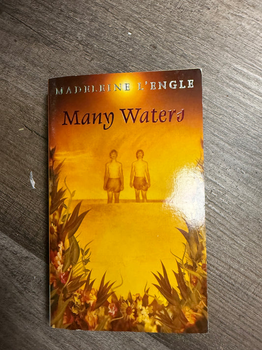 MANY WATERS BY MADELEINE L'ENGLE - BOOK 4