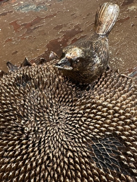 BRONZE-LIKE BIRD ON SUNFLOWER