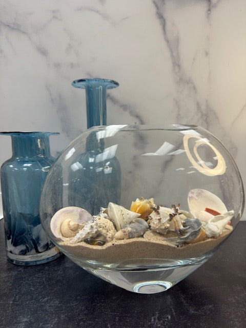 SAND AND SEASHELL TERRARIUM