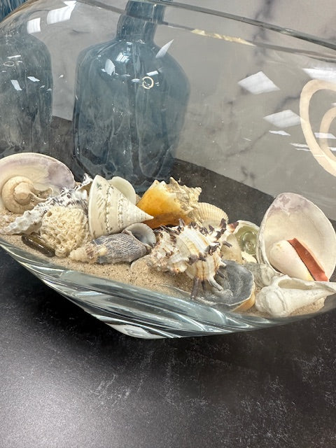 SAND AND SEASHELL TERRARIUM