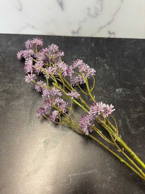 PURPLE ASTER STEM