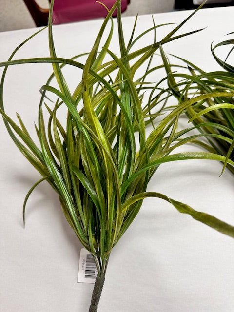 GRASS