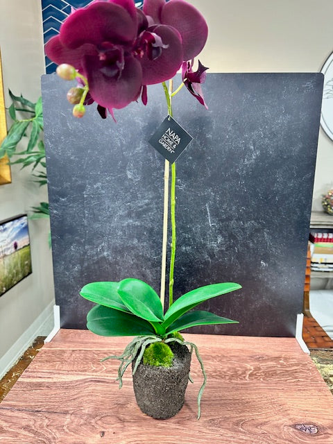 NAPA HOME & GARDEN -PHALAENOPSIS ORCHID DROP-IN 25"