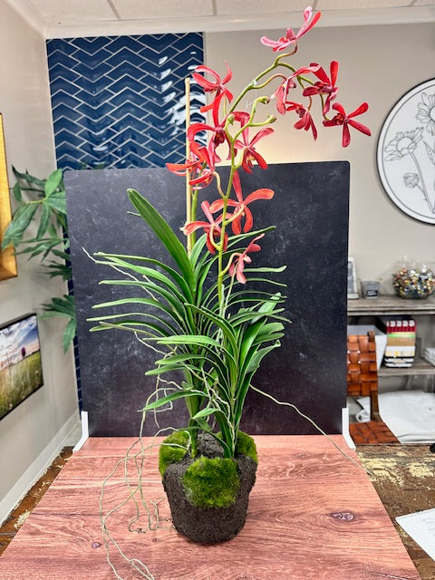 NAPA 34.5" RED ORCHID