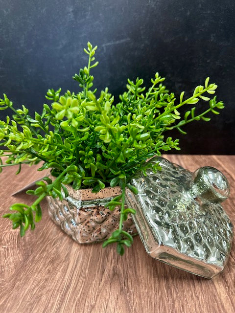GREENERY IN MERCURY GLASS CONTAINER WITH LID