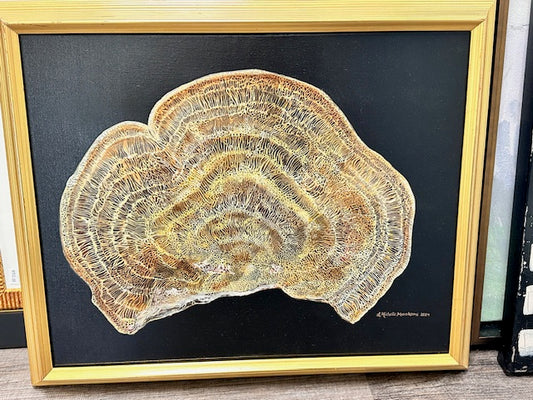 MICHELLE MURAKAMI ORIGINAL ARTWORK - BLUSHING BRACKET MUSHROOM