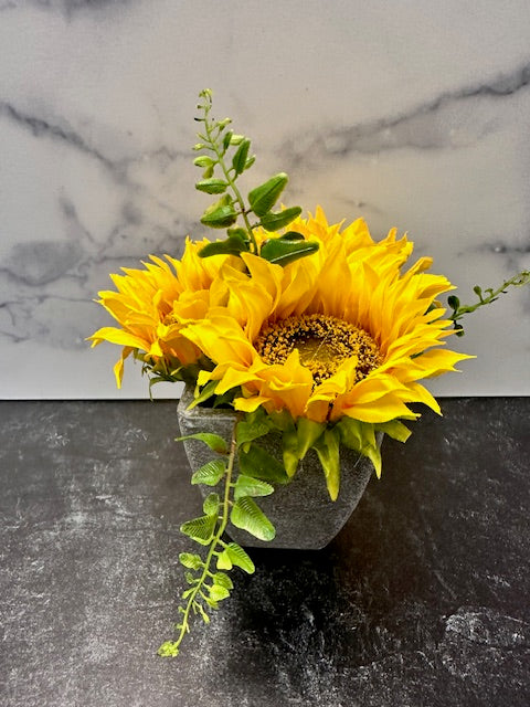 SUNFLOWER FLORAL IN POT