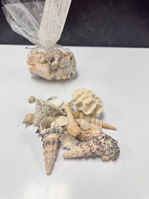 ASSORTED SHELLS - VARIETY