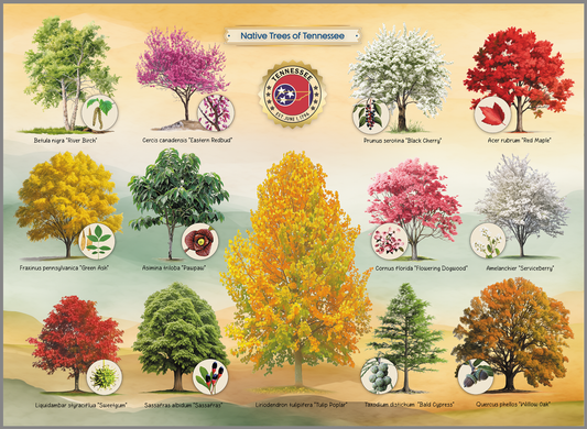 HIGHLAND CREEK NATIVE TREES OF TENNESSEE JIGSAW PUZZLE