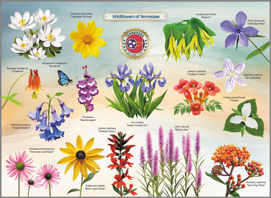 HIGHLAND CREEK WILDFLOWERS OF TENNESSEE JIGSAW PUZZLE